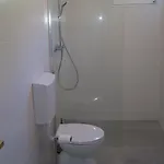 Apartament Ivanica *
